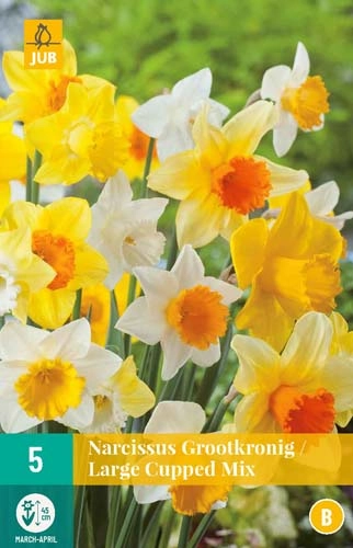 LUKOVICA NARCISSUS LARGE CUPPED MIX 12/14,5 KOM