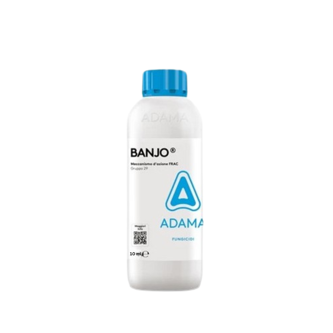 BANJO 10 ML