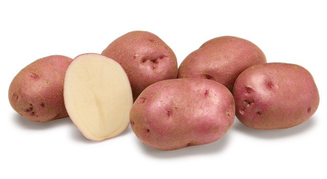 KROMPIR RUDOLPH A 35/55,25KG