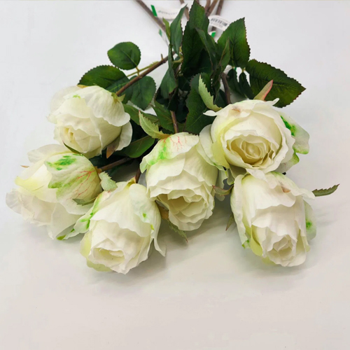 PL.CV.RUZA FEMKE WHITE 57CM