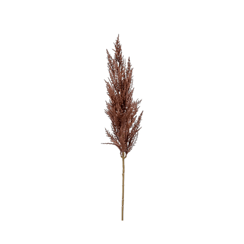 PL.CV.GRASS PAMPAS Branch Brown 92 cm