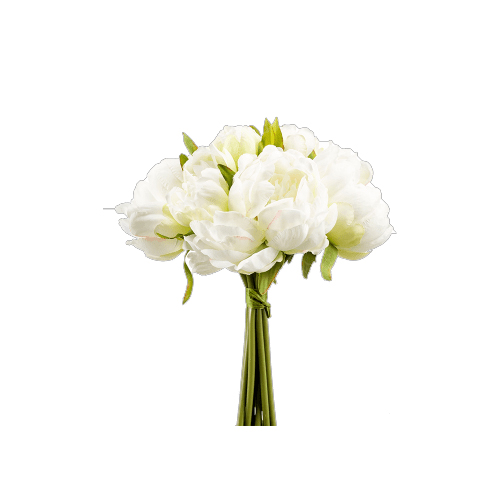 PL.CV.PEONY WHITE/GREEN 20X24CM