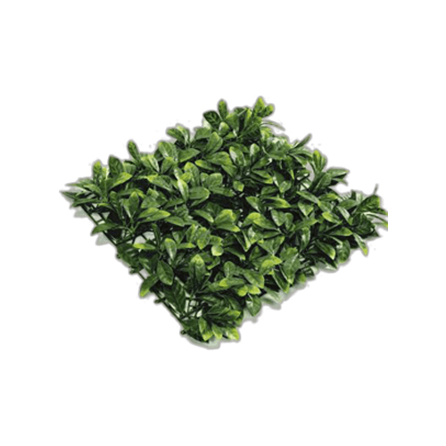 PL.CV.PRUNUS MAT 50x50 cm