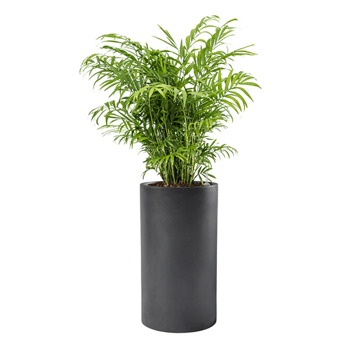 SAKSIJA BAQ BASIC CYLINDER DARK GREY,WITH LINER,30X55