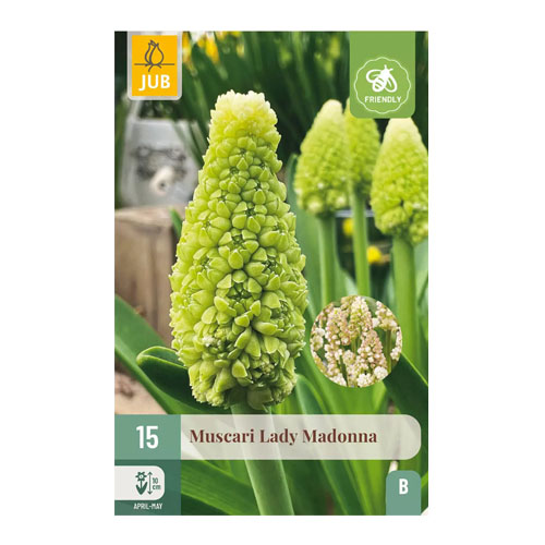 LUKOVICA MUSCARI LADY MADONNA 7/8, 15 KOM