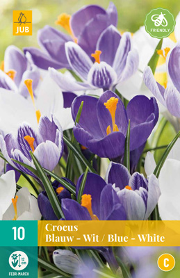 LUKOVICA CROCUSES BLUE - WHITE MIX 8/9, 10 KOM