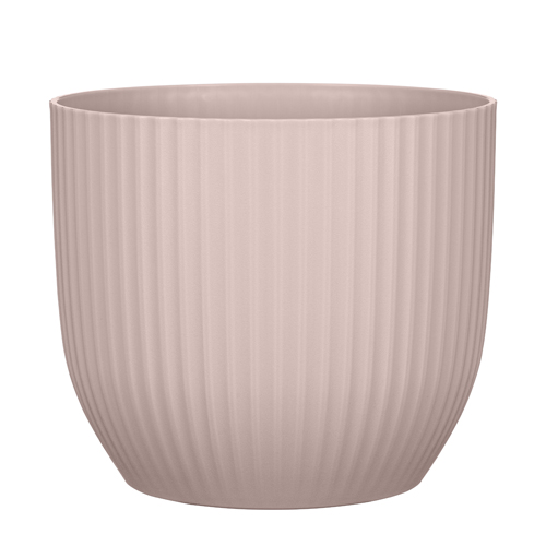SAKSIJA NOVA BLUSH ROSE 231/13