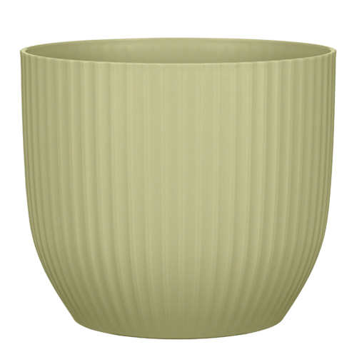 SAKSIJA NOVA GENTLE GREEN 231/15