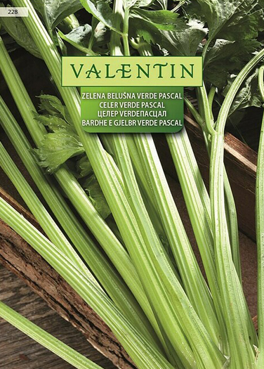 VAL22 228 CELER LISCAR VERDE PASKAL