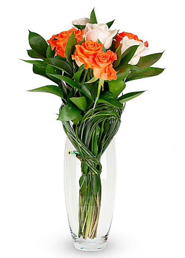 CVIJETNI ARAZNMAN COSMOPOLITAN