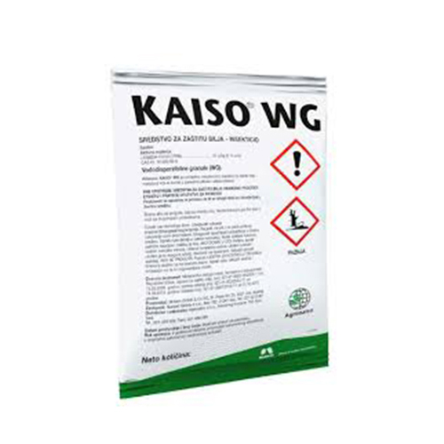 KAISO WG 25G
