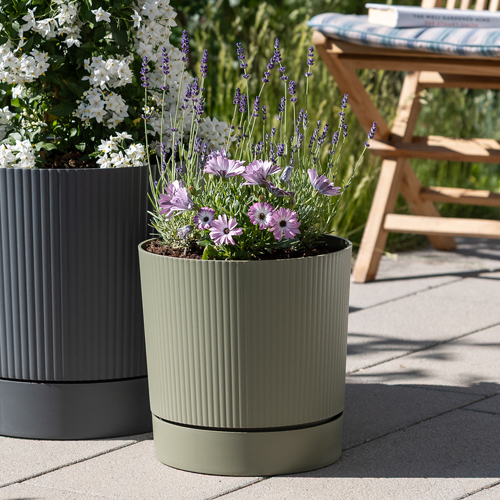 SAKSIJA LINO MOSS GREENY 248/47