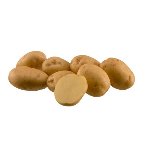 KROMPIR AGRIA A35/55,25/1,AGROVELEBIT