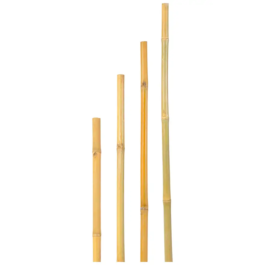 PRITKA BAMBUS H 150 CM,FI 22-24MM