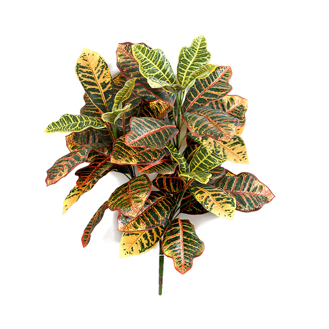 PL.CV.CROTON PLANT 8FW1070N