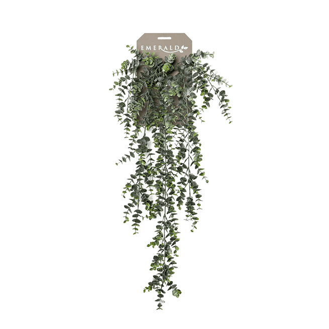 PL.CV.EUCALYPTUS HANGING BUSH,18X75CM