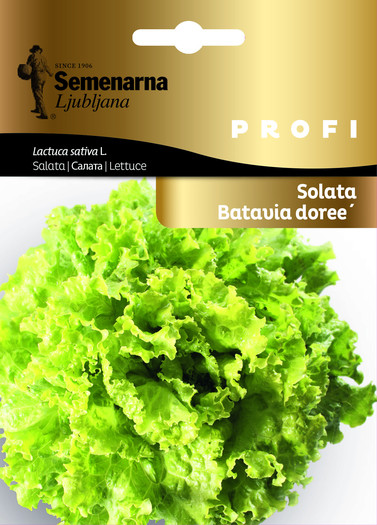 PROFI KESICA SALATA BATAVIA