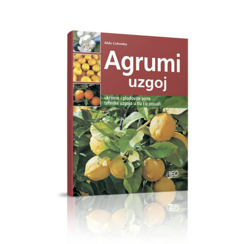 AGRUMI - UZGOJ