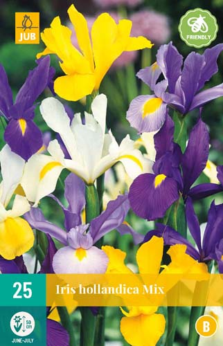 LUKOVICA IRIS HOLLANDICA MIX 7/8,25 KOM