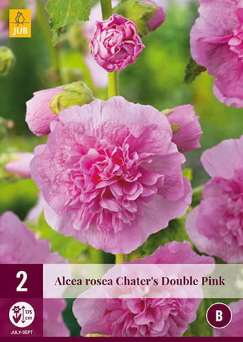 LUKOVICA ALCEA ROSEA CHATERS DOUBLE,2KOM