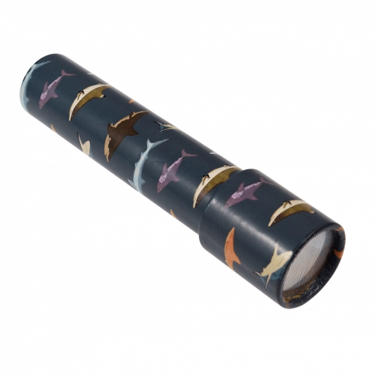 29014 Kaleidoskop,Space Age