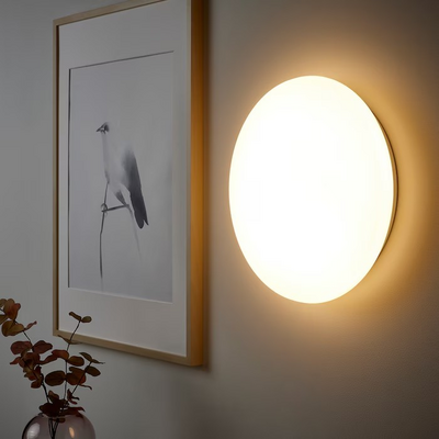 LED plafonska/zidna lampa, pametno bežično podešavanje intenziteta/toplobijela bijela, 37 cm