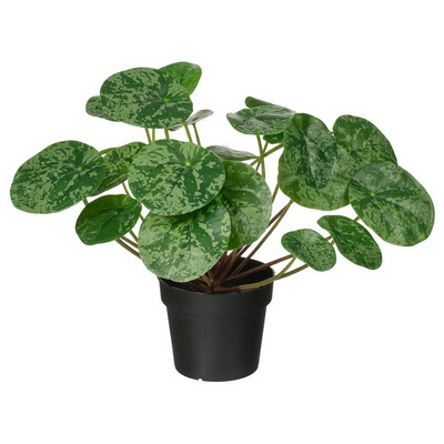 Veštačka biljka u saksiji, unutra/spolja pileja, 9 cm