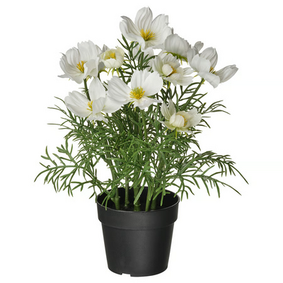 Vještačka biljka u saksiji, unutra/spolja/poljska ljubičica bijela, 9 cm