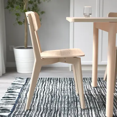 Stolica, jasen
