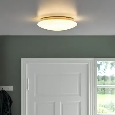 LED plafonska/zidna lampa, bijela, 25 cm