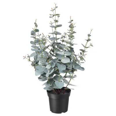 Vještačka biljka u saksiji, unutra/spolja eukaliptus, 15 cm