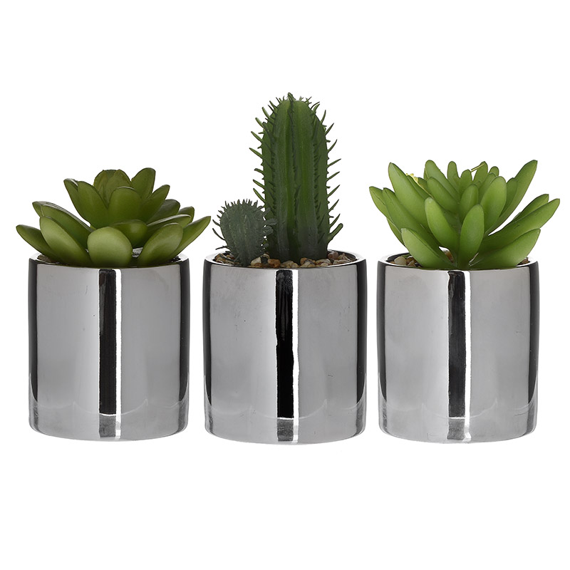 CVIJECE U SAKSIJI SUCCULENT IN A POT 3 DESIGNS D6Χ12