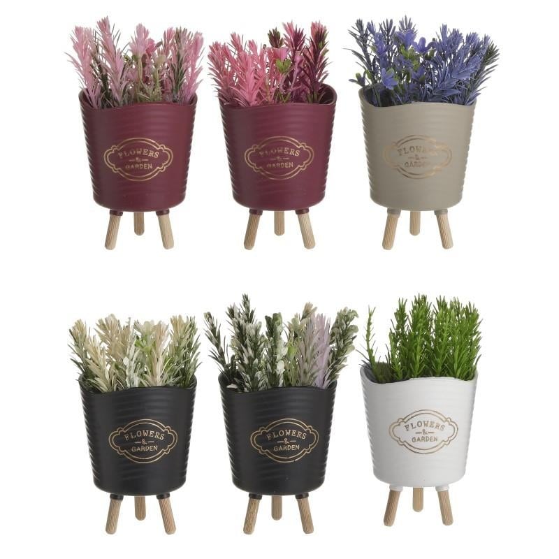 CVIJECE U SAKSIJI PL PLANT IN POT 6 COLORS 7X7X16