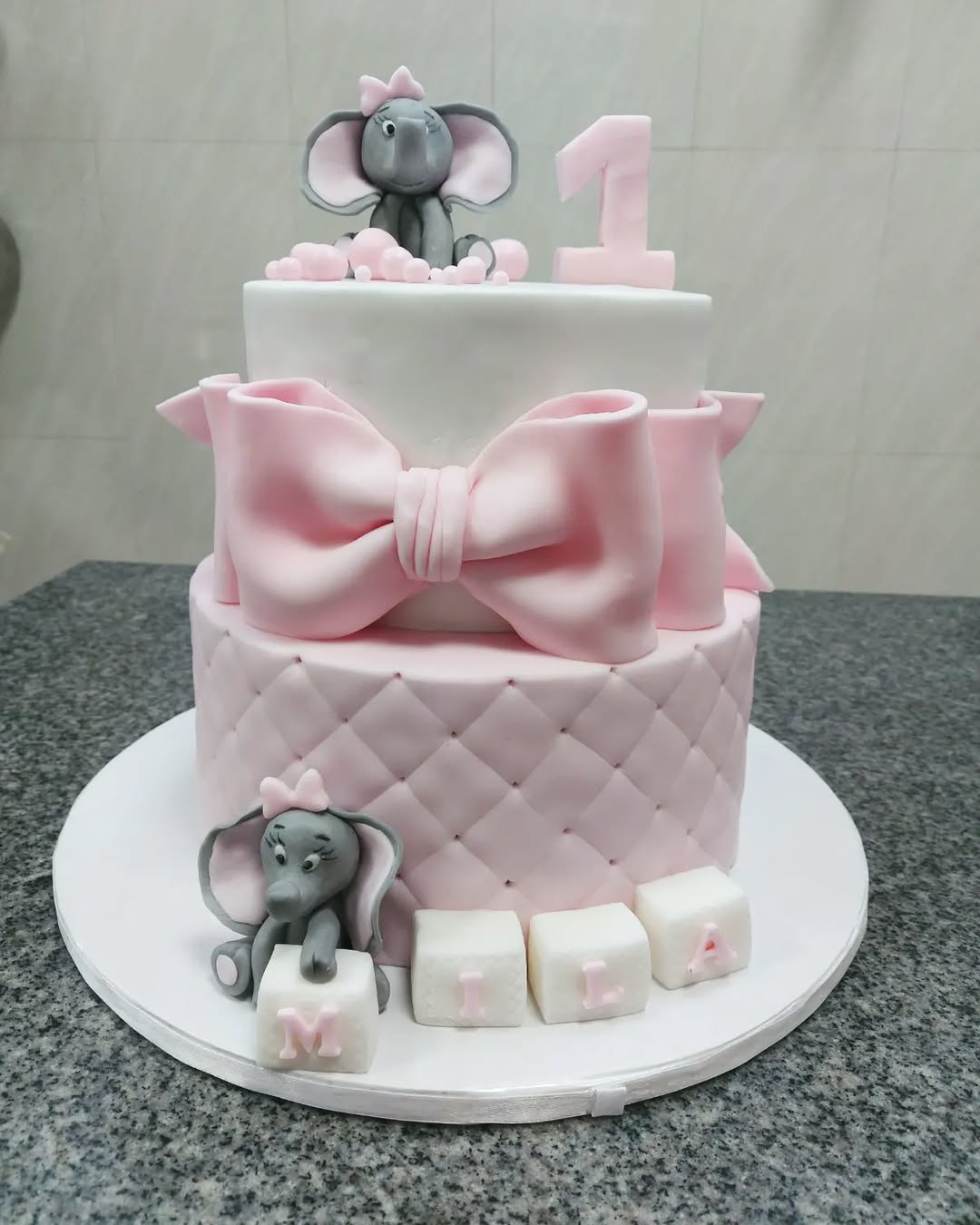 SLONIĆI SA MAŠNOM (40)