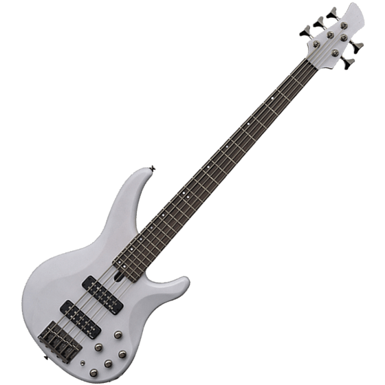 zaštita za bas gitare