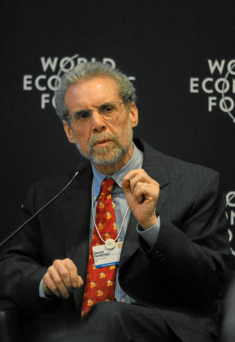Danijel Goleman