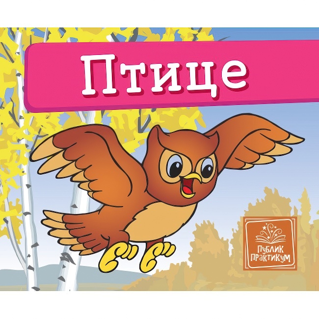 Mala KARTONSKA SLIKOVNICA PTICE Publik Praktikum