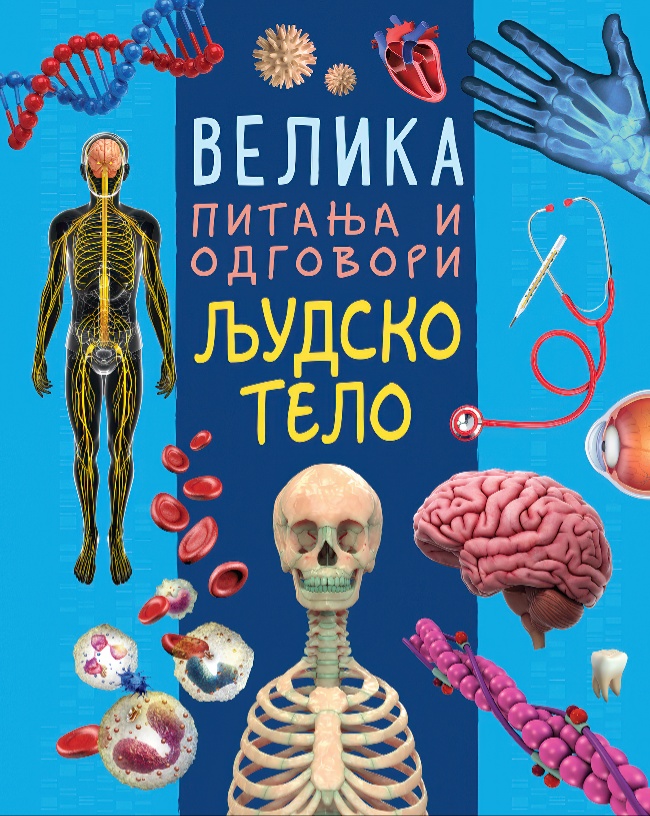 Velika pitanja i odgovori: Ljudsko telo