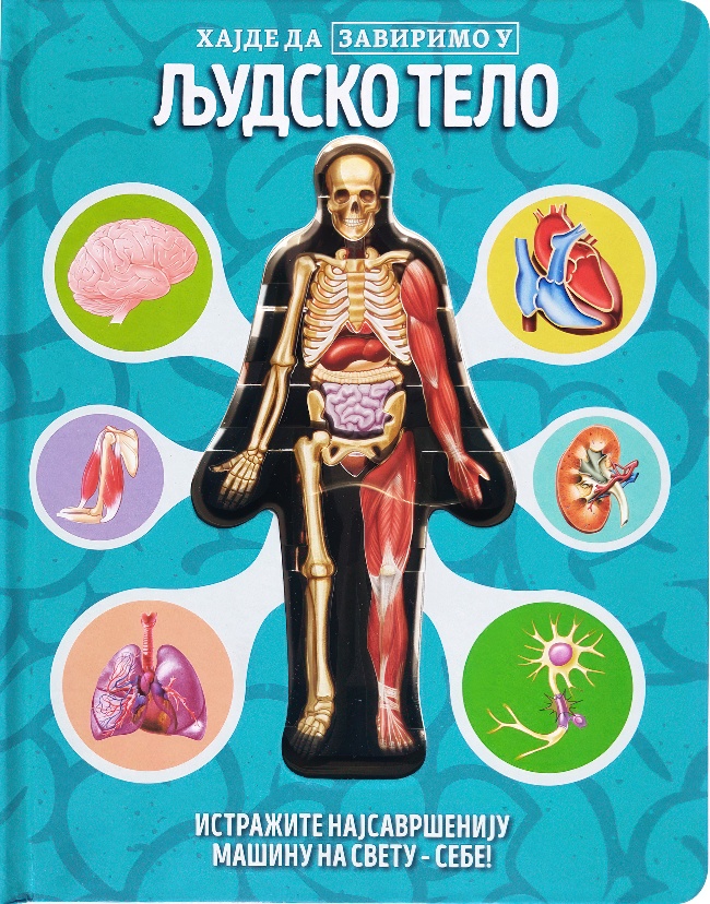 Hajde da zavirimo u: Ljudsko telo