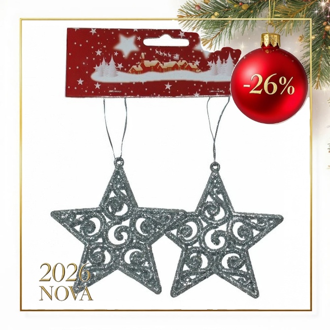 Novog. kićanka Zvijezda 10cm boja srebra 2/1 Eurom Denis