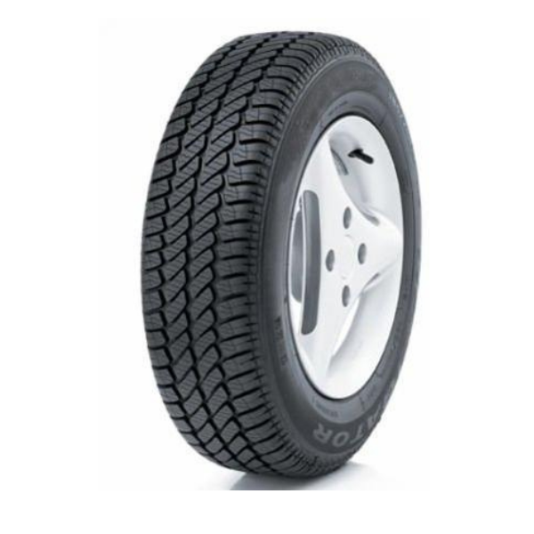 SG SAVA 205/55R16 91H ESKIMO HP 2