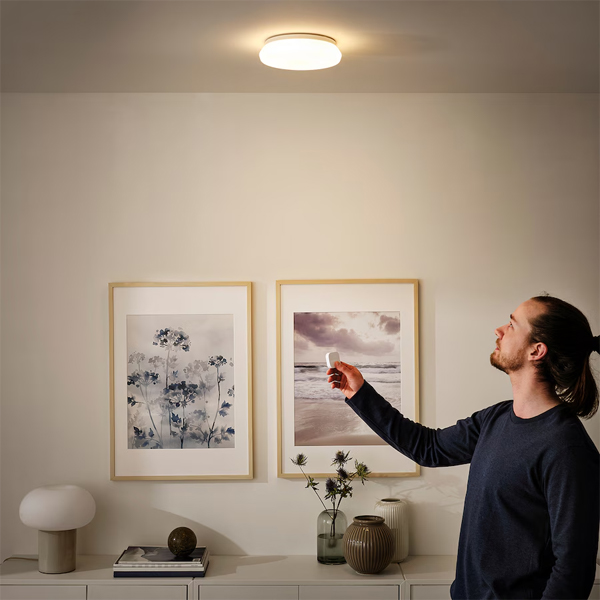 STOFTMOLN LED plafonska/zidna lampa, pametno bežično podešavanje intenziteta/toplobijela bijela, 24 cm
