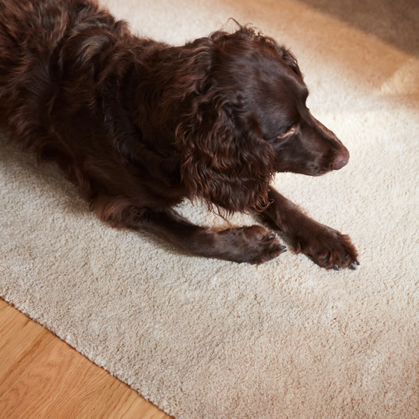 STOENSE 80x150cm Tepih, niski flor, bež