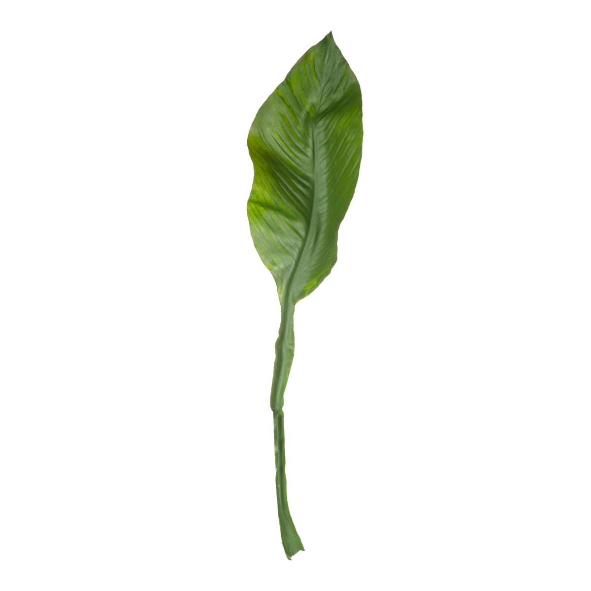 DEKO 75cm vjestacka biljka, list amazonskog ljiljana