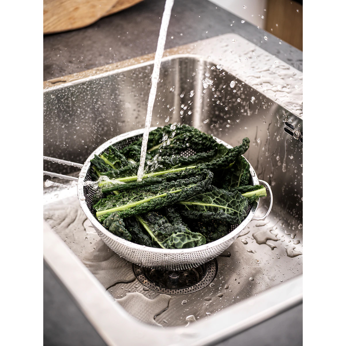 IDEALISK cjediljka, nerdjajuci celik