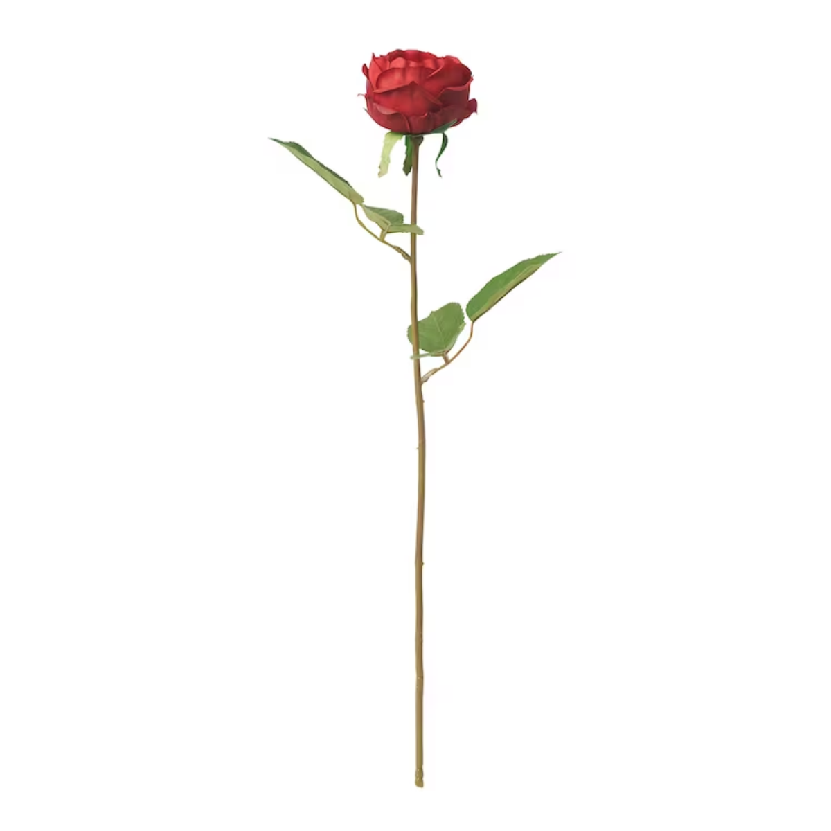 SMYCKA 52cm Vještački cvijet, unutra/spolja/ruža crvena