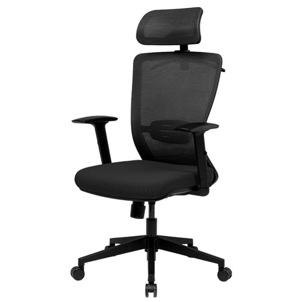 Radna ergonomska kancelarijska stolica Loctek Flexispot BS3 Radna ergonomska kancelarijska stolica Loctek Flexispot BS3