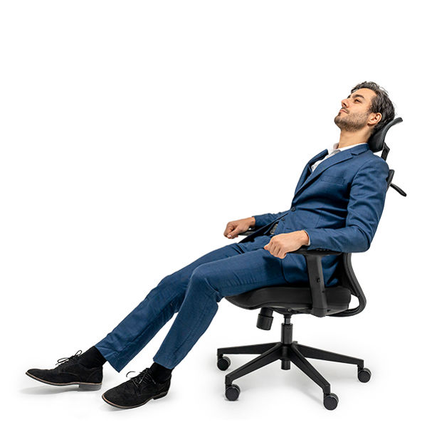 Radna ergonomska kancelarijska stolica Loctek Flexispot BS3 Radna ergonomska kancelarijska stolica Loctek Flexispot BS3