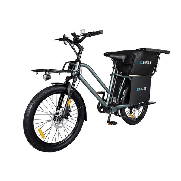 Električno biciklo TFSMILEE Cargo E-bike E15