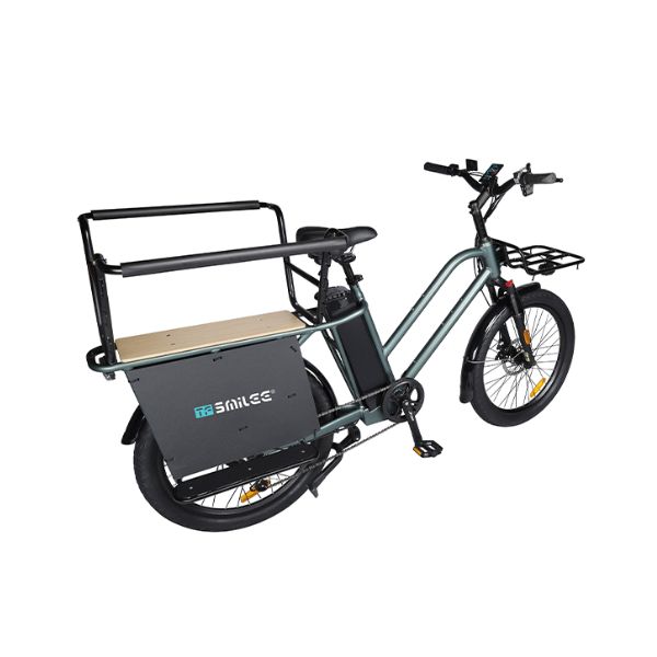 Električno biciklo TFSMILEE Cargo E-bike E15